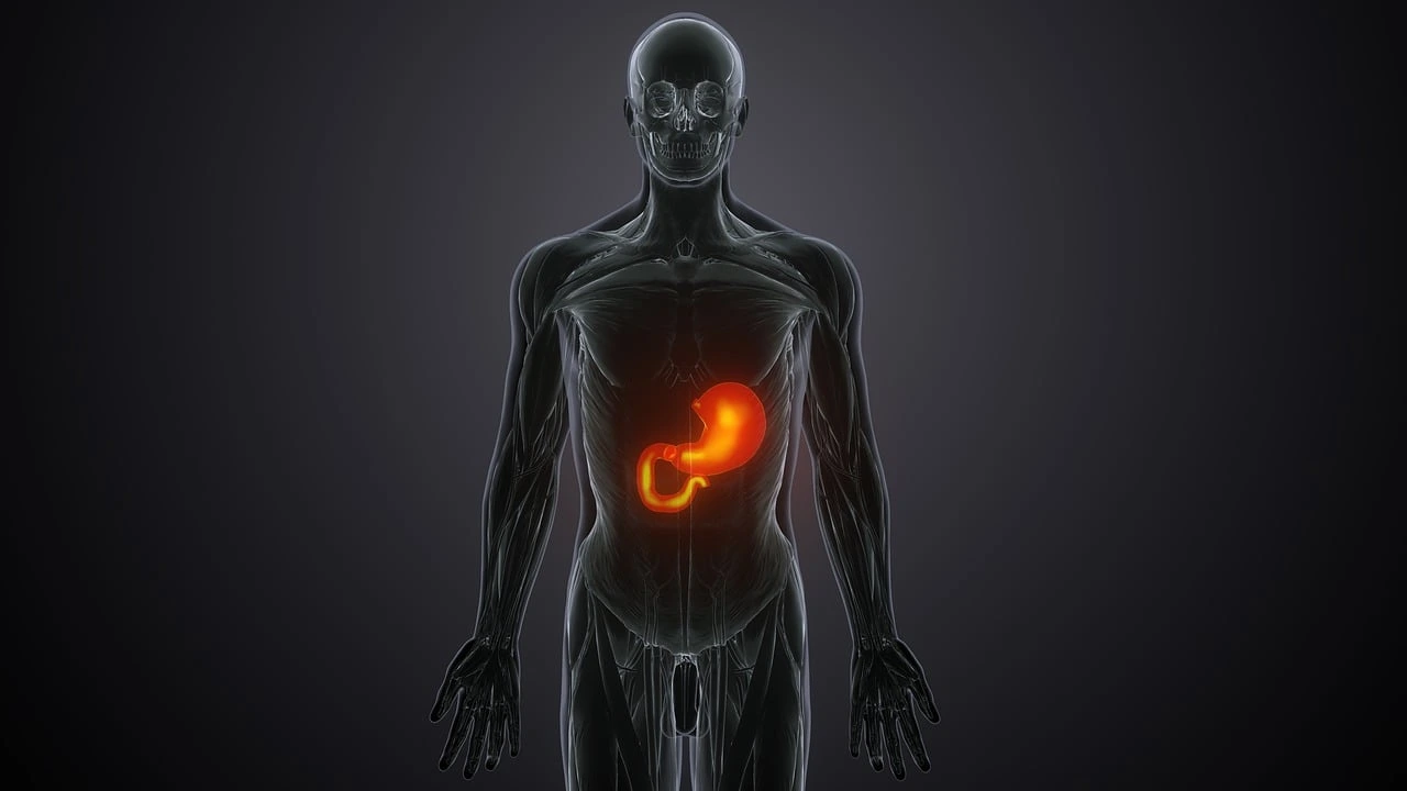 PrimeBiome for Metabolism